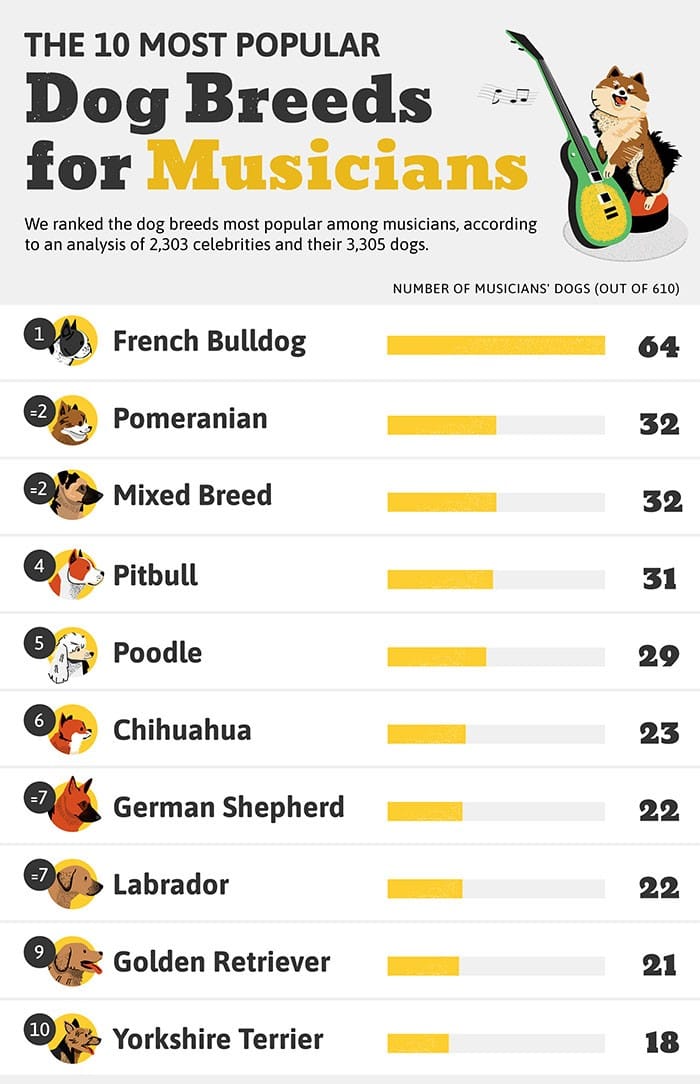 More than one in ten dogs belonging to famous musicians are French Bulldogs; one in 19 are Pomeranians.