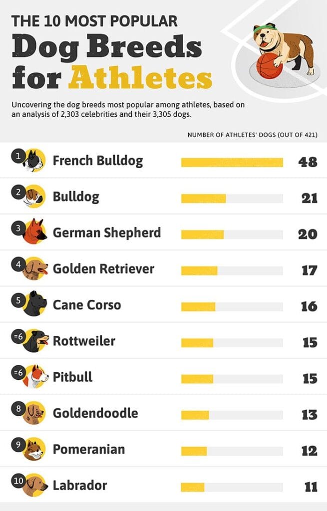 Unlike actors, athletes can count the Bulldog, Cane Corso and Rottweiler among their top ten breeds. 